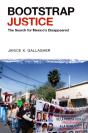 Bootstrap Justice - Preview
