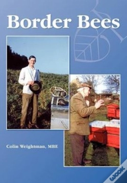 Capa do artigo Border Bees