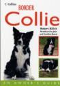 Border Collie - Preview