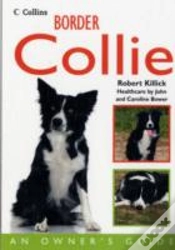 Capa do artigo Border Collie