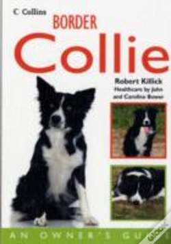 Capa do artigo Border Collie