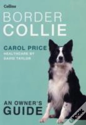 Capa do artigo Border Collie