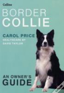Capa do artigo Border Collie