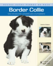 Capa do artigo Border Collie