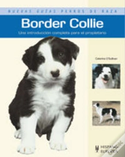 Capa do artigo Border Collie