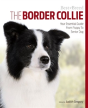Border Collie - Preview
