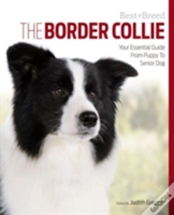 Capa do artigo Border Collie