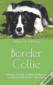 Capa do artigo Border Collie
