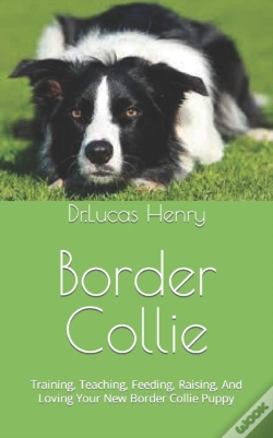 Capa do artigo Border Collie