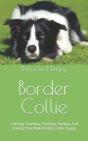Border Collie - Preview