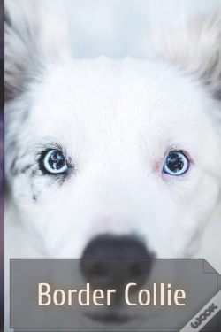 Capa do artigo Border Collie