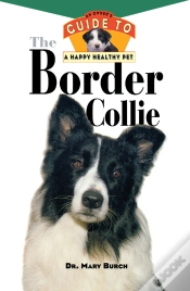 Capa do artigo Border Collie