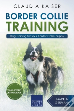 Capa do artigo Border Collie Training - Dog Training Fo