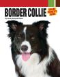 Border Collie - Preview