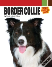 Capa do artigo Border Collie