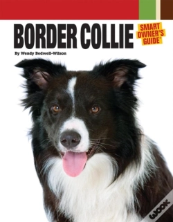 Capa do artigo Border Collie