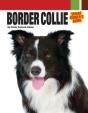 Border Collie - Preview