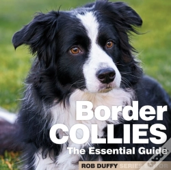 Capa do artigo Border Collies