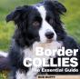 Border Collies - Preview