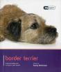 Border Terrier - Dog Expert - Preview
