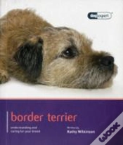 Capa do artigo Border Terrier - Dog Expert