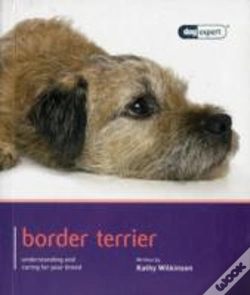 Capa do artigo Border Terrier - Dog Expert