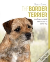 Capa do artigo Border Terrier