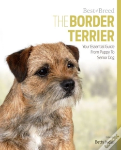 Capa do artigo Border Terrier