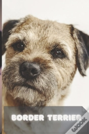 Capa do artigo Border Terrier