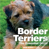Border Terriers