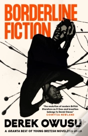 Capa do artigo Borderline Fiction
