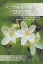 Borderlines Of Identity - Preview