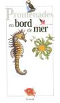 Bords De Mer - Preview