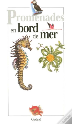 Capa do artigo Bords De Mer