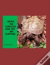 Boris The Tortoise