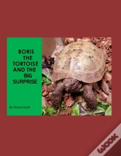 Capa do artigo Boris The Tortoise