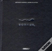 Capa do artigo Born 2b