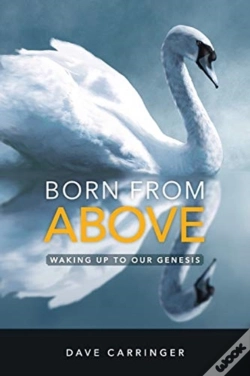 Capa do artigo Born From Above