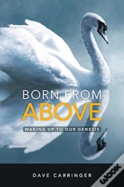 Capa do artigo Born From Above