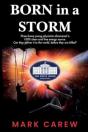 Born In A Storm - Preview