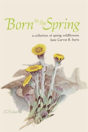Born In The Spring - Preview