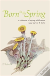 Capa do artigo Born In The Spring