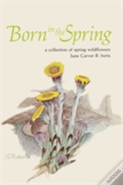 Capa do artigo Born In The Spring