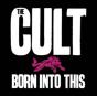 Born Into This - CD - Preview