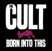 Capa do artigo Born Into This - CD