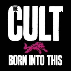 Capa do artigo Born Into This - CD