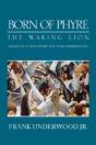 Born Of Phyre - Preview
