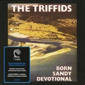 Capa do artigo Born Sandy Devotional - CD