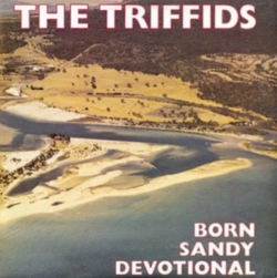 Capa do artigo Born Sandy Devotional - CD