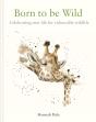 Born To Be Wild - Preview